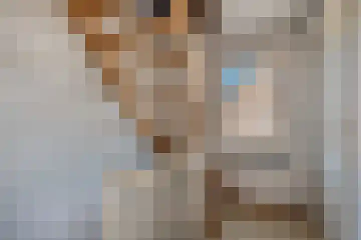 Gouwakker 45 Hedel thumbnail 17