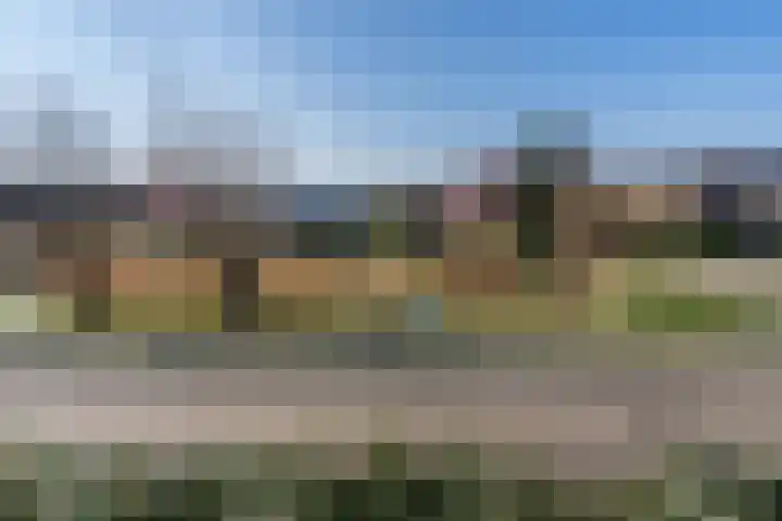 Gouwakker 45 Hedel thumbnail 20