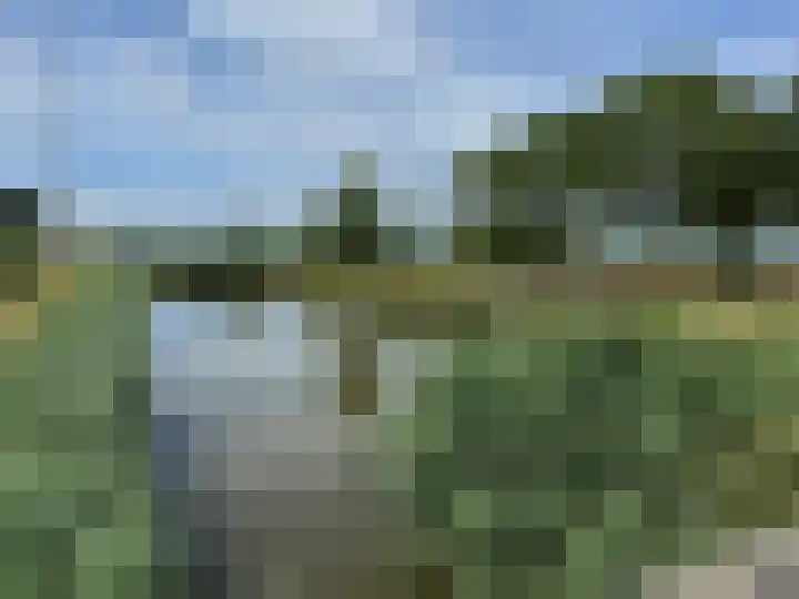 Gouwakker 45 Hedel thumbnail 36