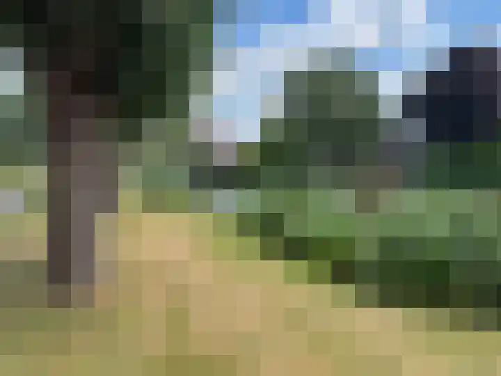 Gouwakker 45 Hedel thumbnail 39