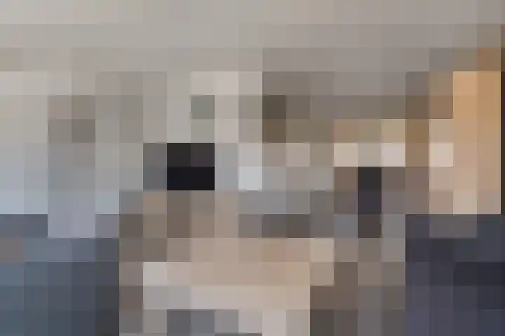 Gouwakker 45 Hedel thumbnail 9