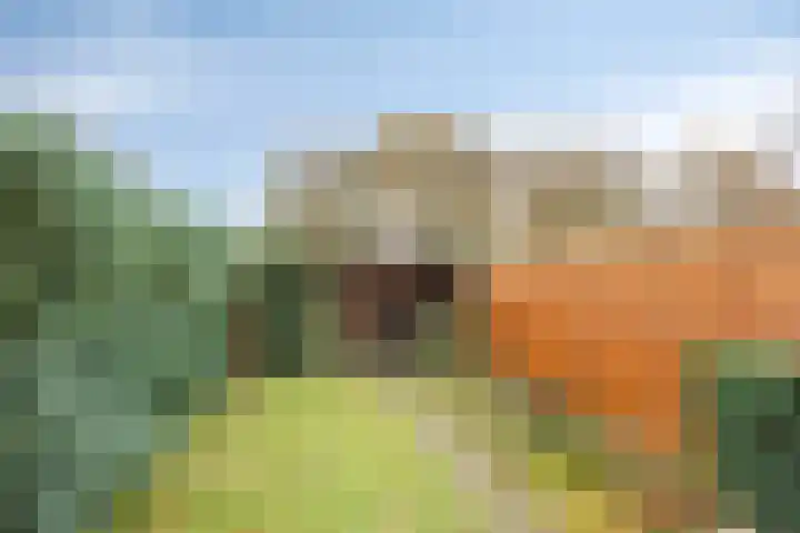 Gouwe 1 Assen thumbnail 22