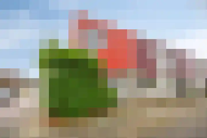 Gouwe 1 Assen thumbnail 5
