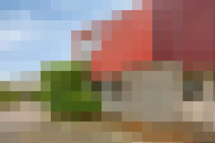 Gouwe 1 Assen thumbnail 7
