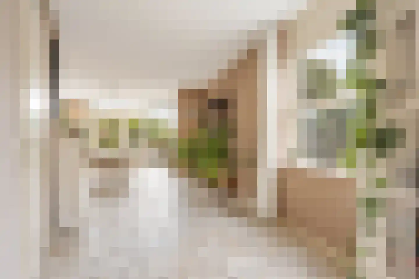 Gouwe 1 Nieuwerkerk aan den IJssel thumbnail 11