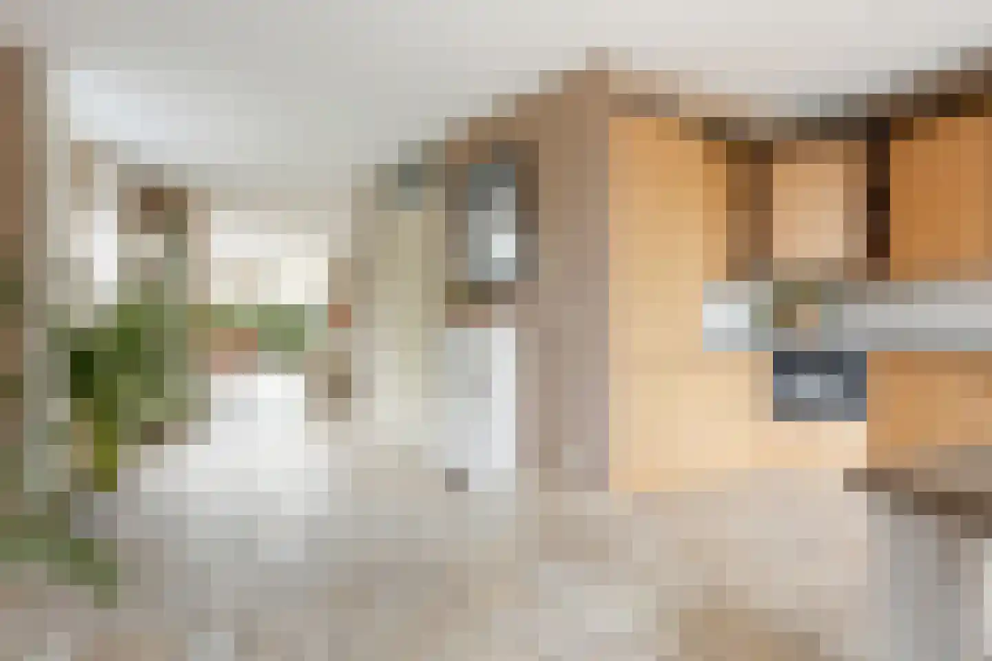 Gouwe 1 Nieuwerkerk aan den IJssel thumbnail 16