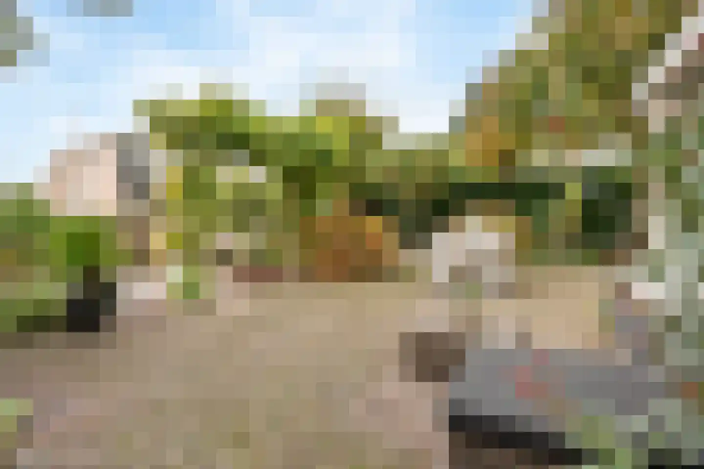 Gouwe 1 Nieuwerkerk aan den IJssel thumbnail 36