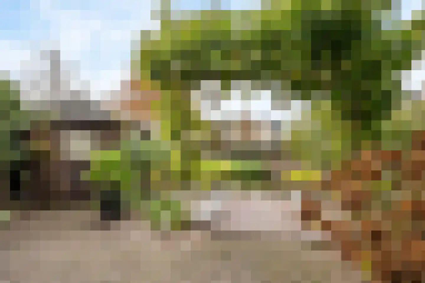 Gouwe 1 Nieuwerkerk aan den IJssel thumbnail 39