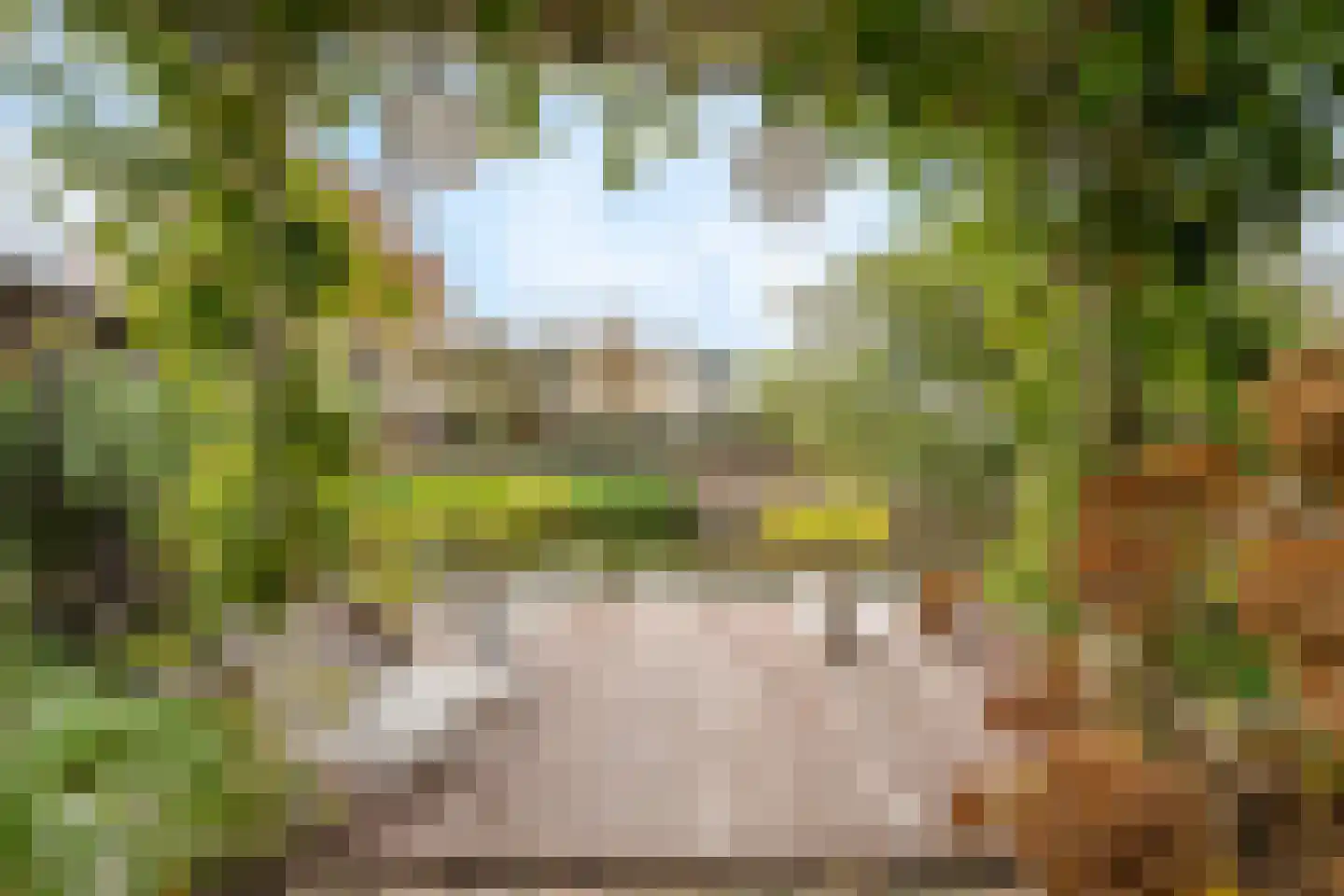 Gouwe 1 Nieuwerkerk aan den IJssel thumbnail 40