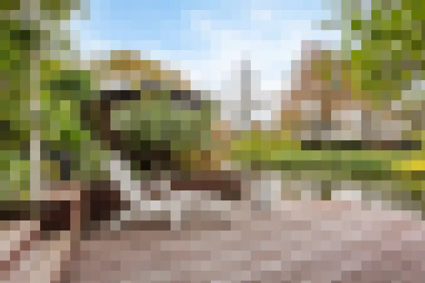 Gouwe 1 Nieuwerkerk aan den IJssel thumbnail 41