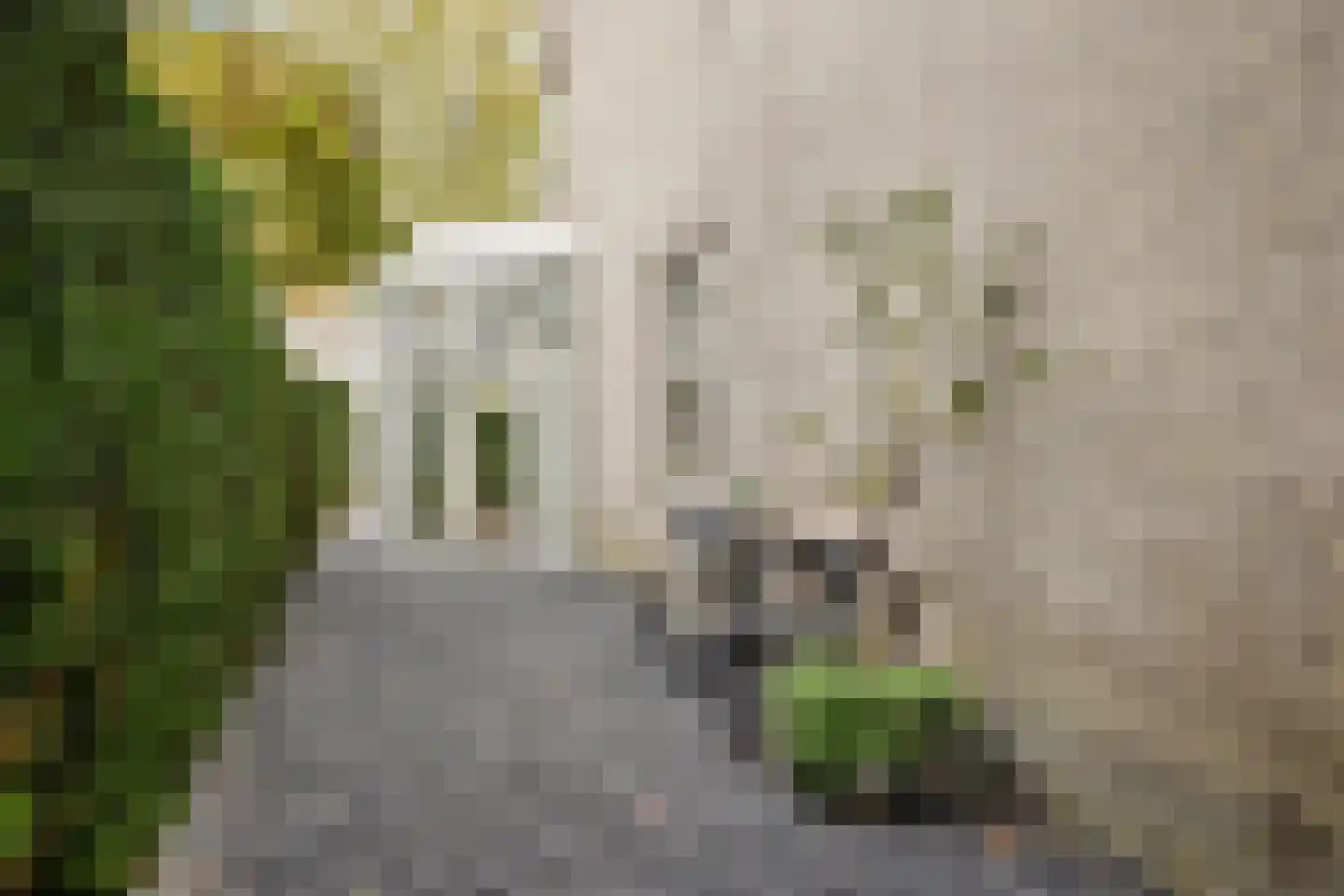 Gouwe 1 Nieuwerkerk aan den IJssel thumbnail 43