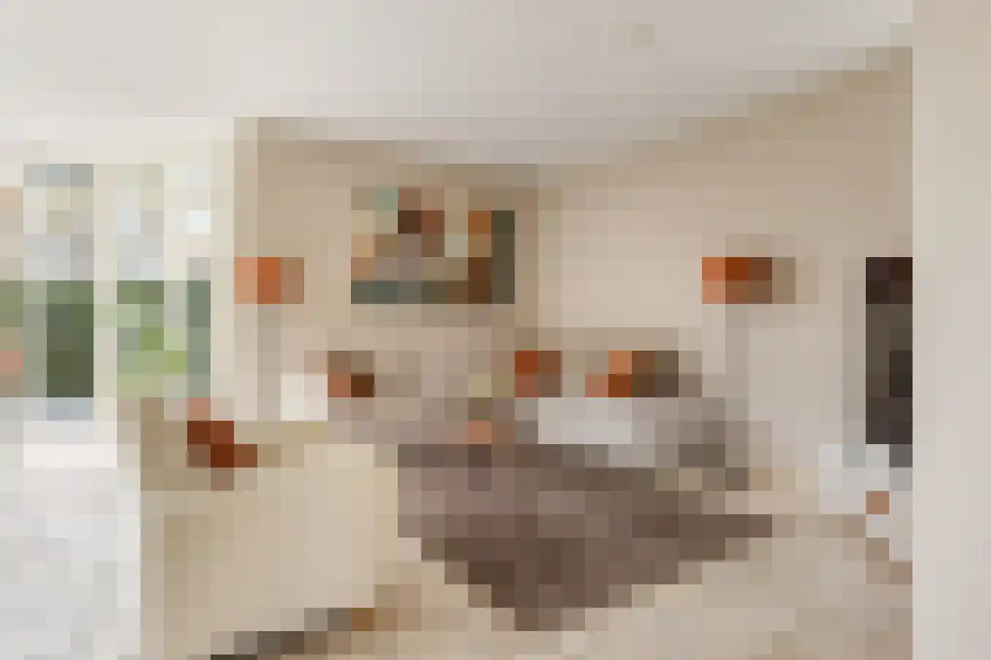 Gouwe 1 Nieuwerkerk aan den IJssel thumbnail 5