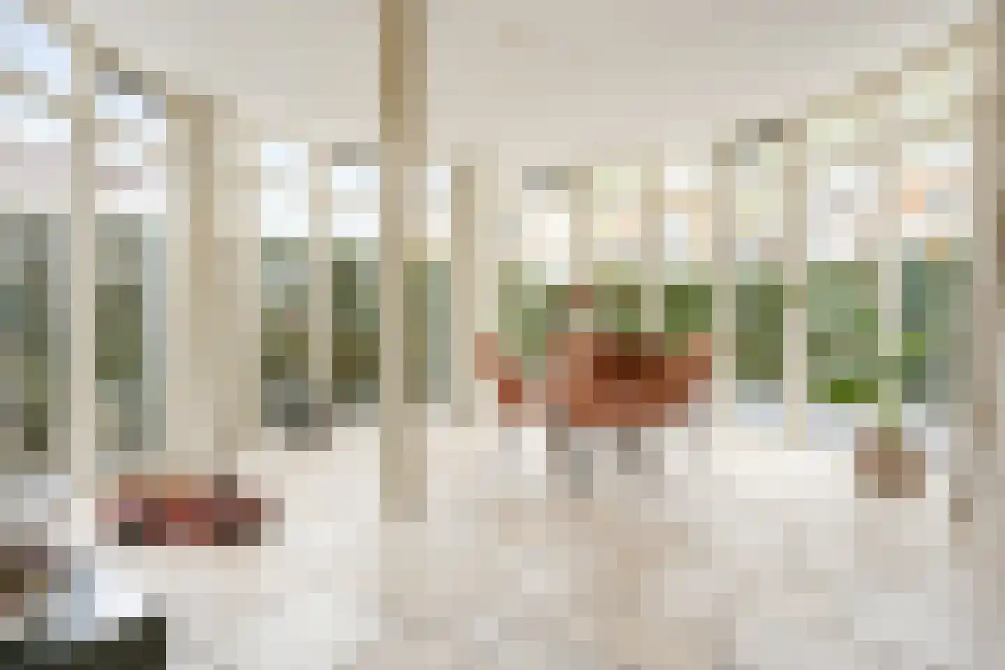 Gouwe 1 Nieuwerkerk aan den IJssel thumbnail 7