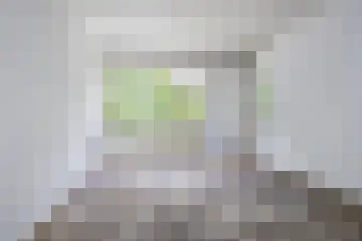 Gouwe 104 Assen thumbnail 14