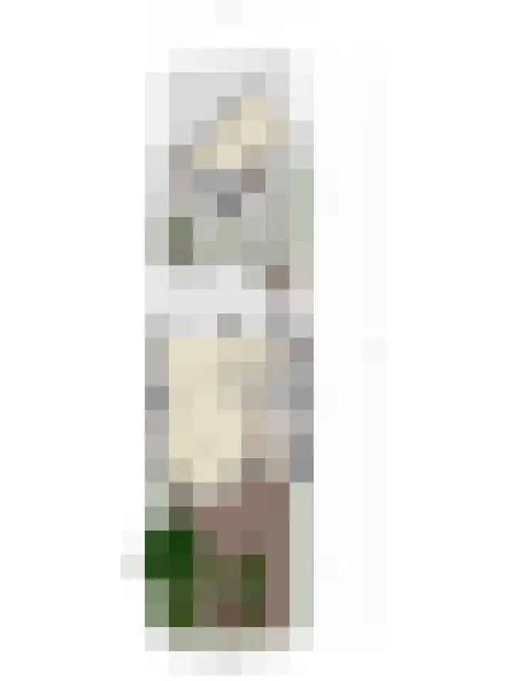 Gouwe 104 Assen thumbnail 4