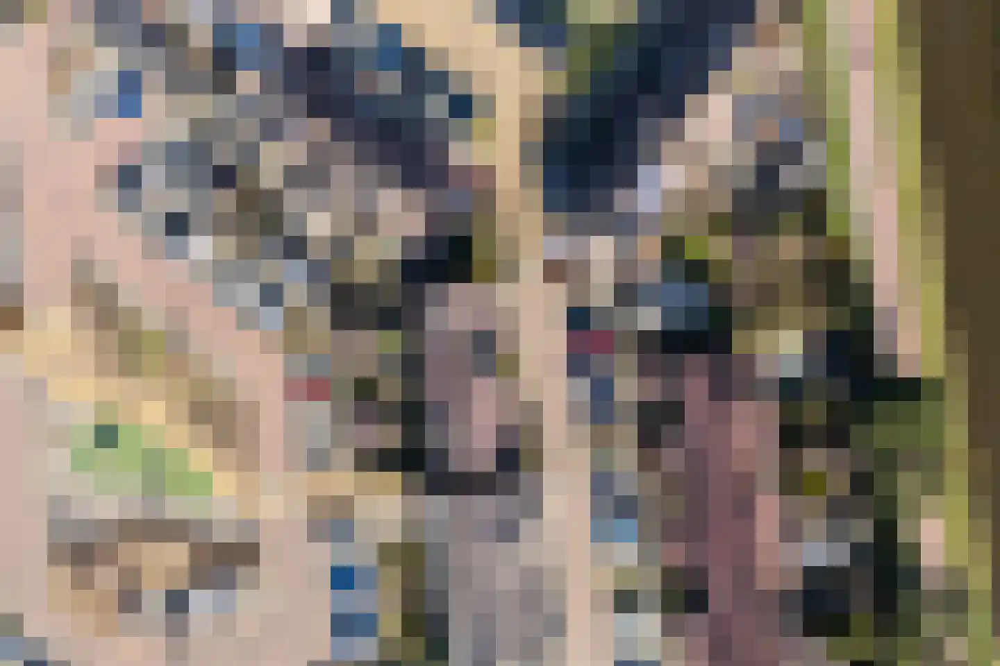 Gouwe 169 Heerhugowaard thumbnail 35