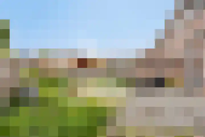 Gouwe 175 Heerhugowaard thumbnail 31