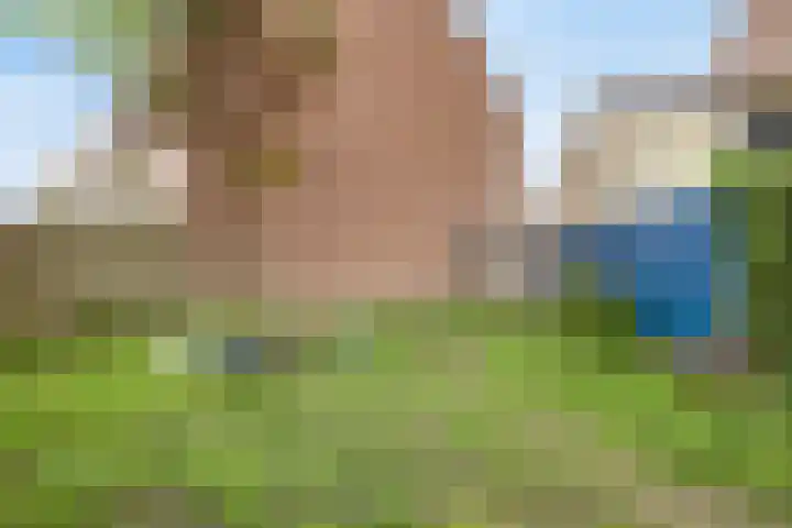 Gouwe 175 Heerhugowaard thumbnail 32