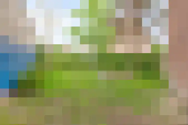 Gouwe 175 Heerhugowaard thumbnail 34