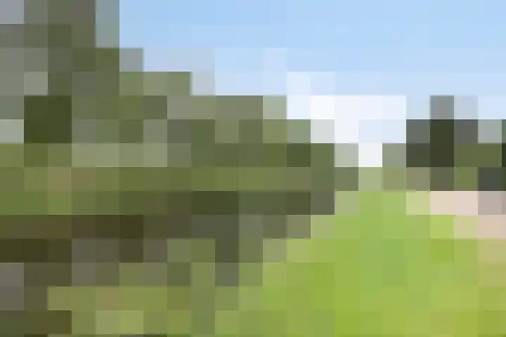 Gouwe 175 Heerhugowaard thumbnail 38