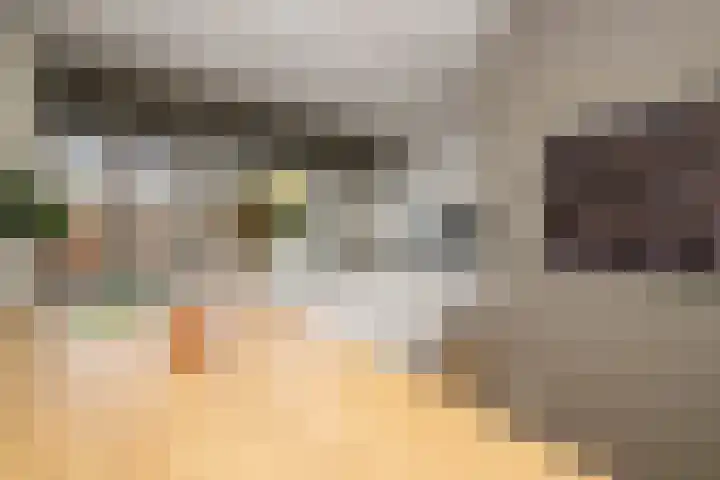 Gouwe 19 Nieuwerkerk aan den IJssel thumbnail 10