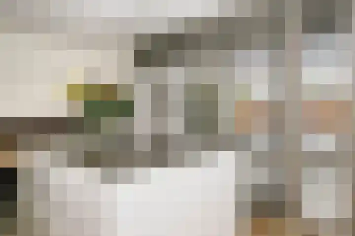 Gouwe 19 Nieuwerkerk aan den IJssel thumbnail 11