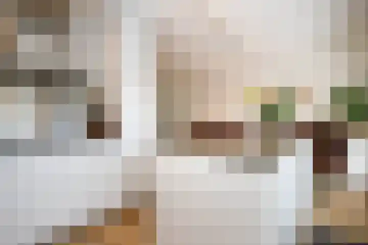 Gouwe 19 Nieuwerkerk aan den IJssel thumbnail 12