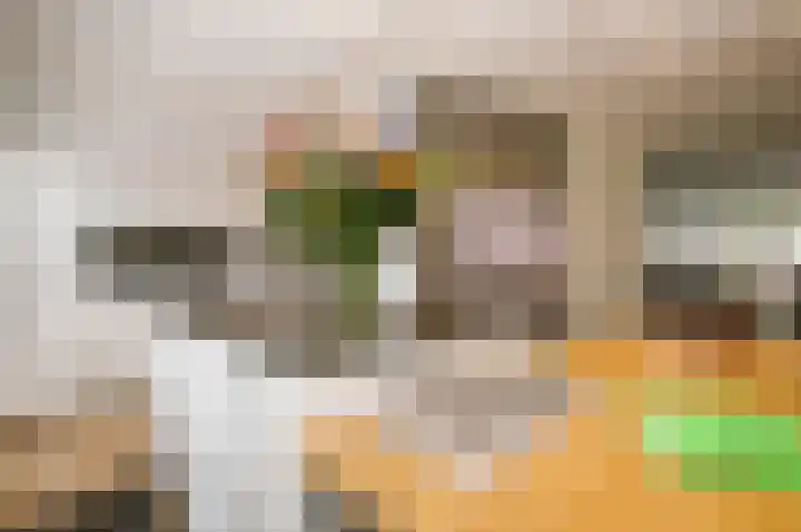 Gouwe 19 Nieuwerkerk aan den IJssel thumbnail 13