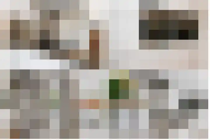 Gouwe 19 Nieuwerkerk aan den IJssel thumbnail 14