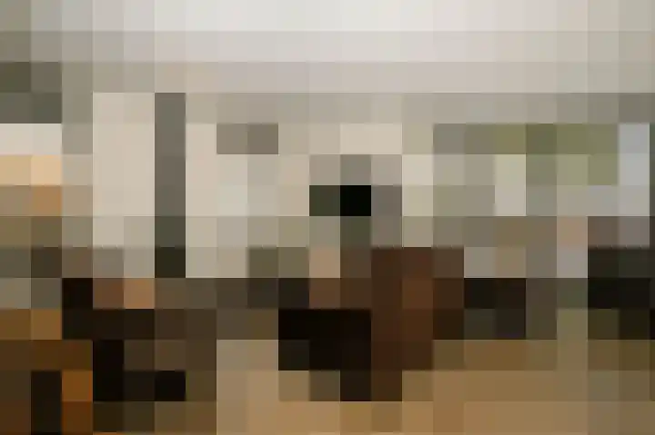 Gouwe 19 Nieuwerkerk aan den IJssel thumbnail 17