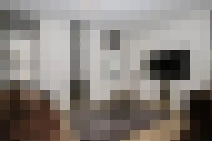 Gouwe 19 Nieuwerkerk aan den IJssel thumbnail 19