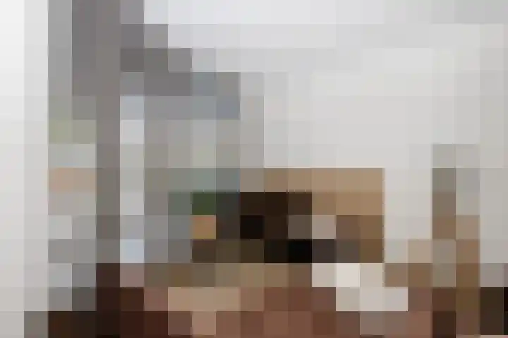 Gouwe 19 Nieuwerkerk aan den IJssel thumbnail 20