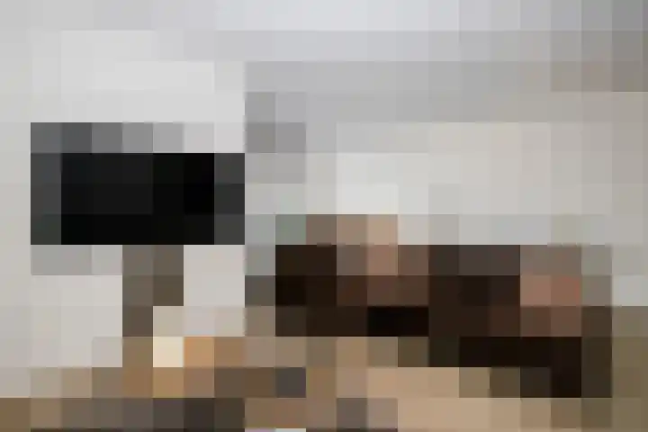 Gouwe 19 Nieuwerkerk aan den IJssel thumbnail 22
