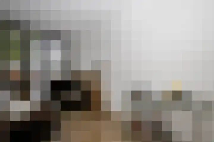 Gouwe 19 Nieuwerkerk aan den IJssel thumbnail 23