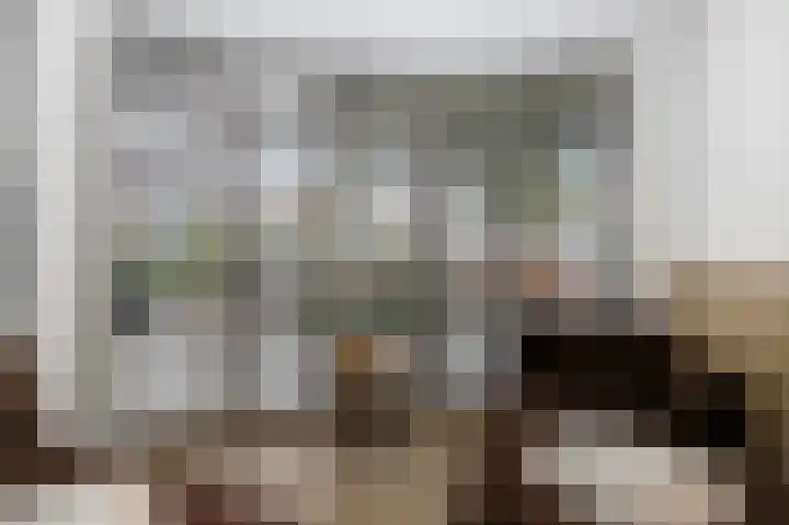 Gouwe 19 Nieuwerkerk aan den IJssel thumbnail 24