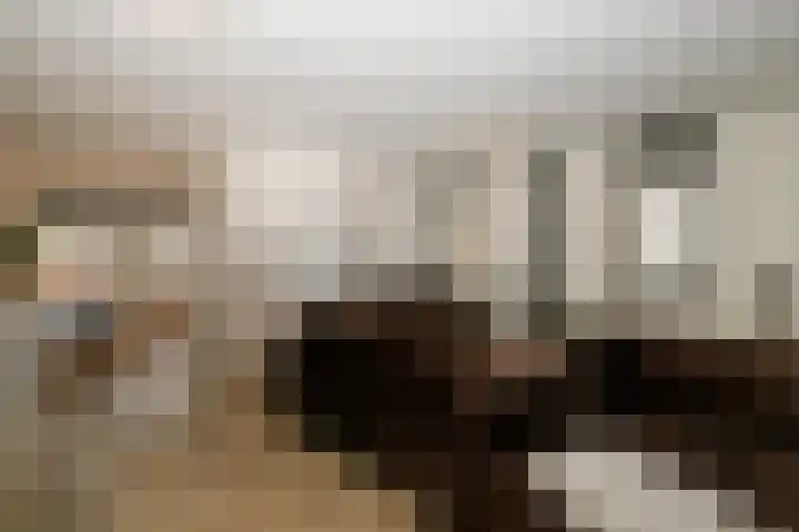 Gouwe 19 Nieuwerkerk aan den IJssel thumbnail 25