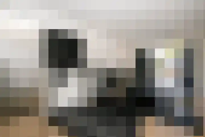 Gouwe 19 Nieuwerkerk aan den IJssel thumbnail 28