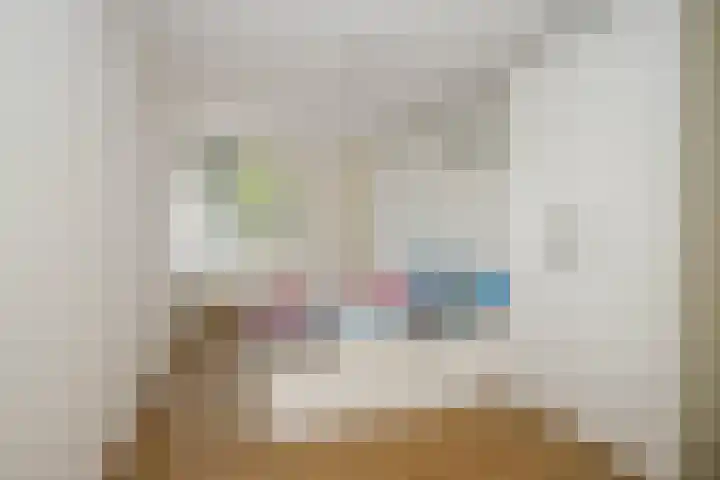 Gouwe 19 Nieuwerkerk aan den IJssel thumbnail 30