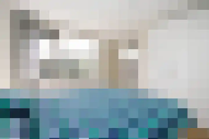 Gouwe 19 Nieuwerkerk aan den IJssel thumbnail 33