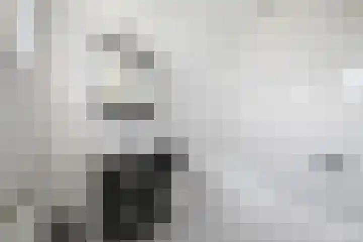 Gouwe 19 Nieuwerkerk aan den IJssel thumbnail 35