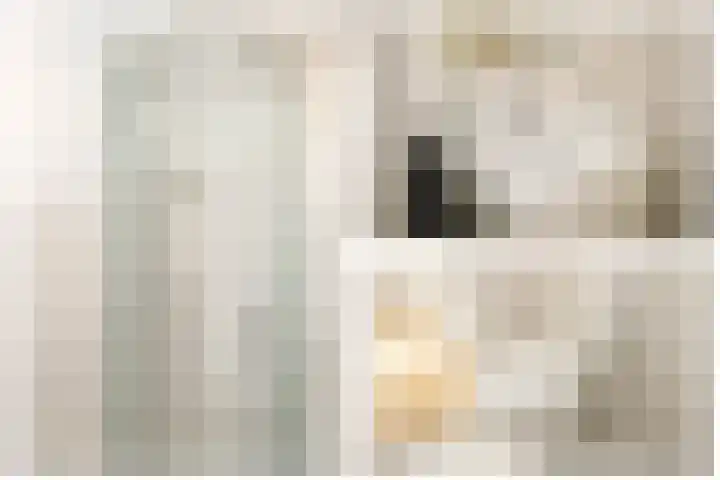 Gouwe 19 Nieuwerkerk aan den IJssel thumbnail 38