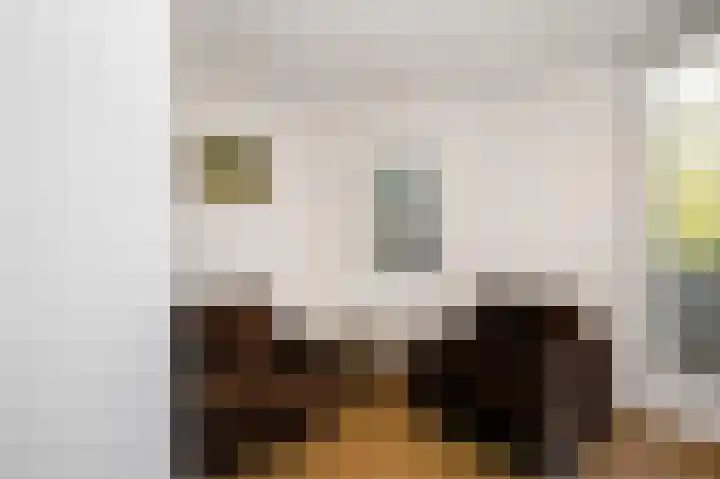 Gouwe 19 Nieuwerkerk aan den IJssel thumbnail 40