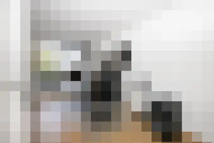 Gouwe 19 Nieuwerkerk aan den IJssel thumbnail 41