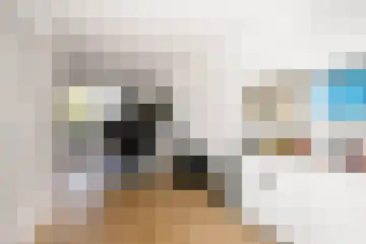 Gouwe 19 Nieuwerkerk aan den IJssel thumbnail 44