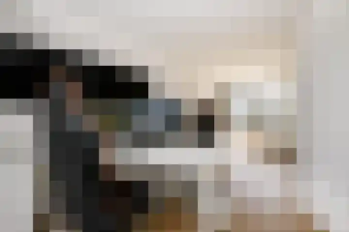 Gouwe 19 Nieuwerkerk aan den IJssel thumbnail 45
