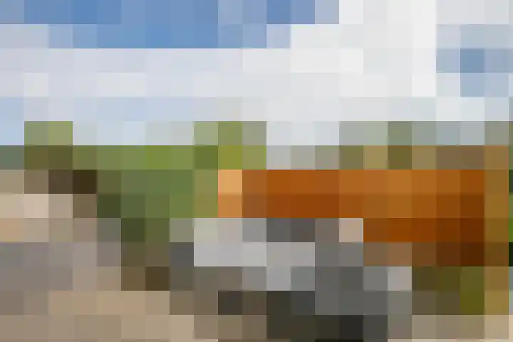Gouwe 19 Nieuwerkerk aan den IJssel thumbnail 47