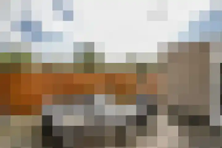 Gouwe 19 Nieuwerkerk aan den IJssel thumbnail 48