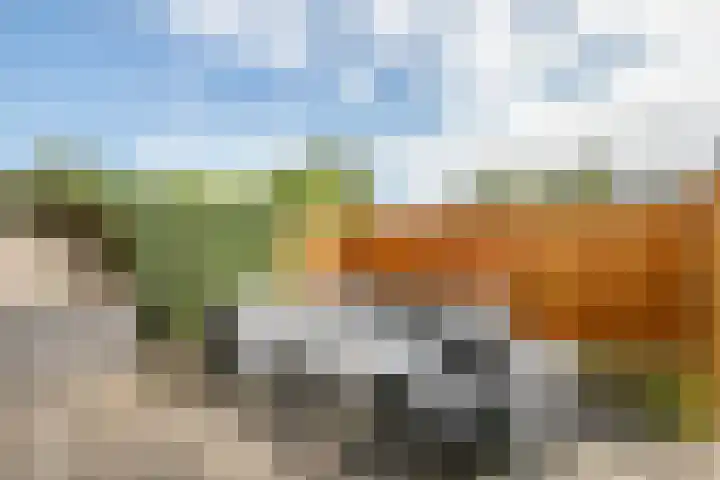 Gouwe 19 Nieuwerkerk aan den IJssel thumbnail 49