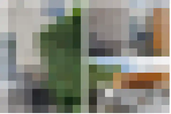 Gouwe 19 Nieuwerkerk aan den IJssel thumbnail 50