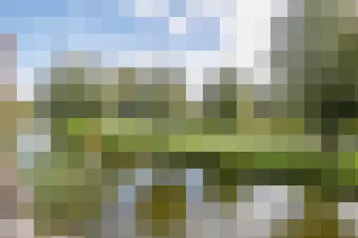 Gouwe 19 Nieuwerkerk aan den IJssel thumbnail 52